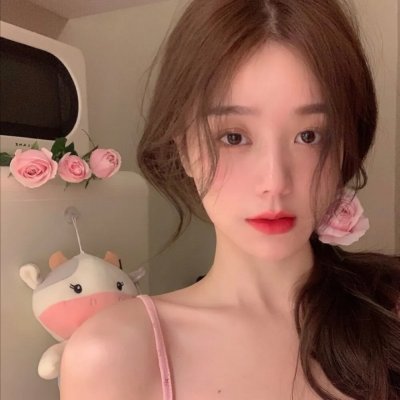 做一只鸟真不容易